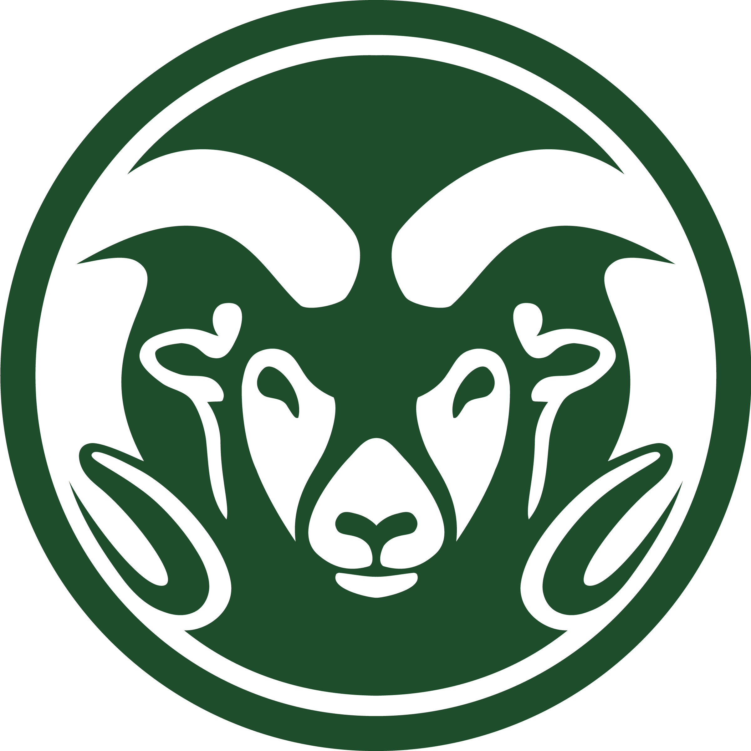 Colorado State